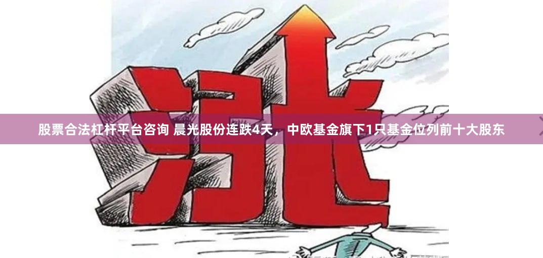 股票合法杠杆平台咨询 晨光股份连跌4天，中欧基金旗下1只基金位列前十大股东