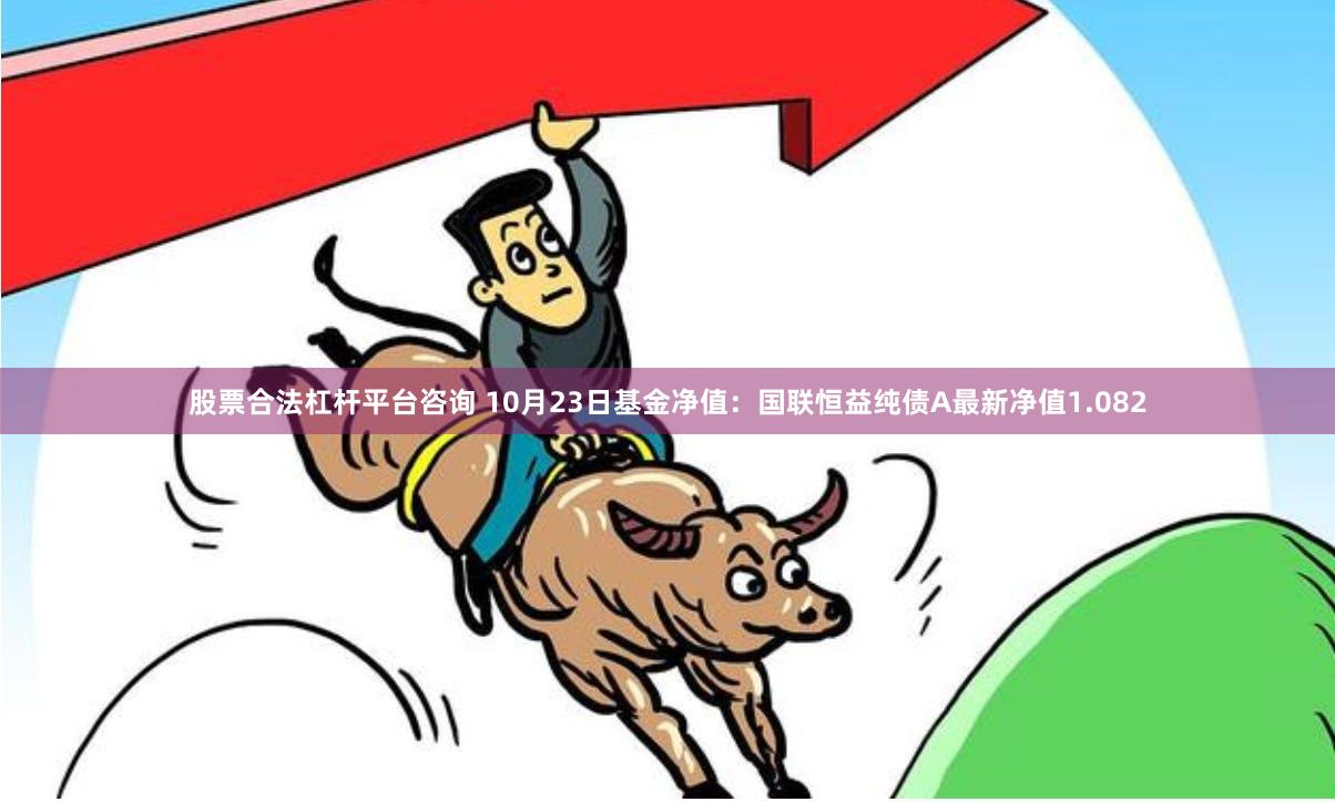 股票合法杠杆平台咨询 10月23日基金净值：国联恒益纯债A最新净值1.082