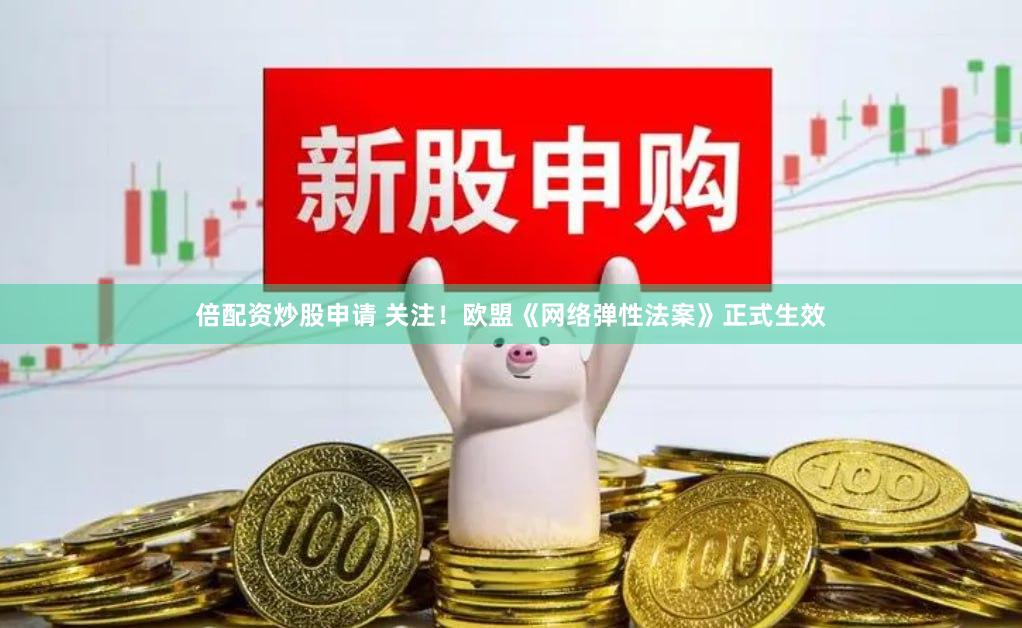 倍配资炒股申请 关注！欧盟《网络弹性法案》正式生效